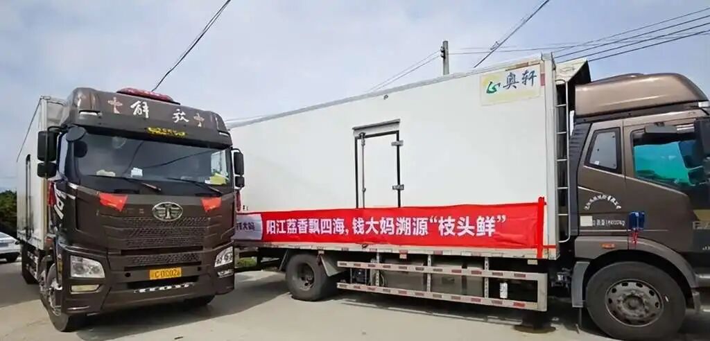 钱大妈的冷链物流车队