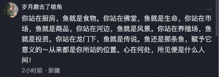 网友评论-鱼的哲学