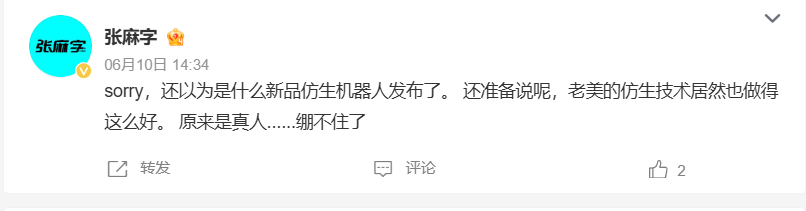 张麻宇评论