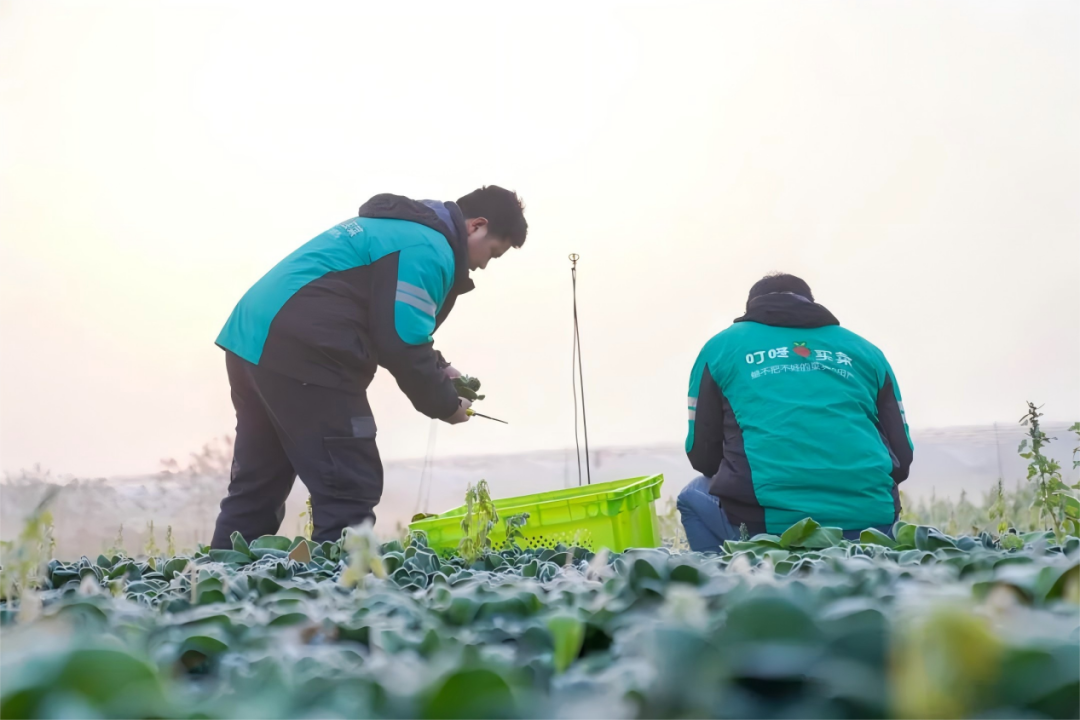 9495f303686f6404fe8a6c496ac61eca