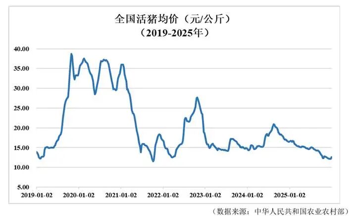 03c1de6233a007c6ea86d4fd9399514e