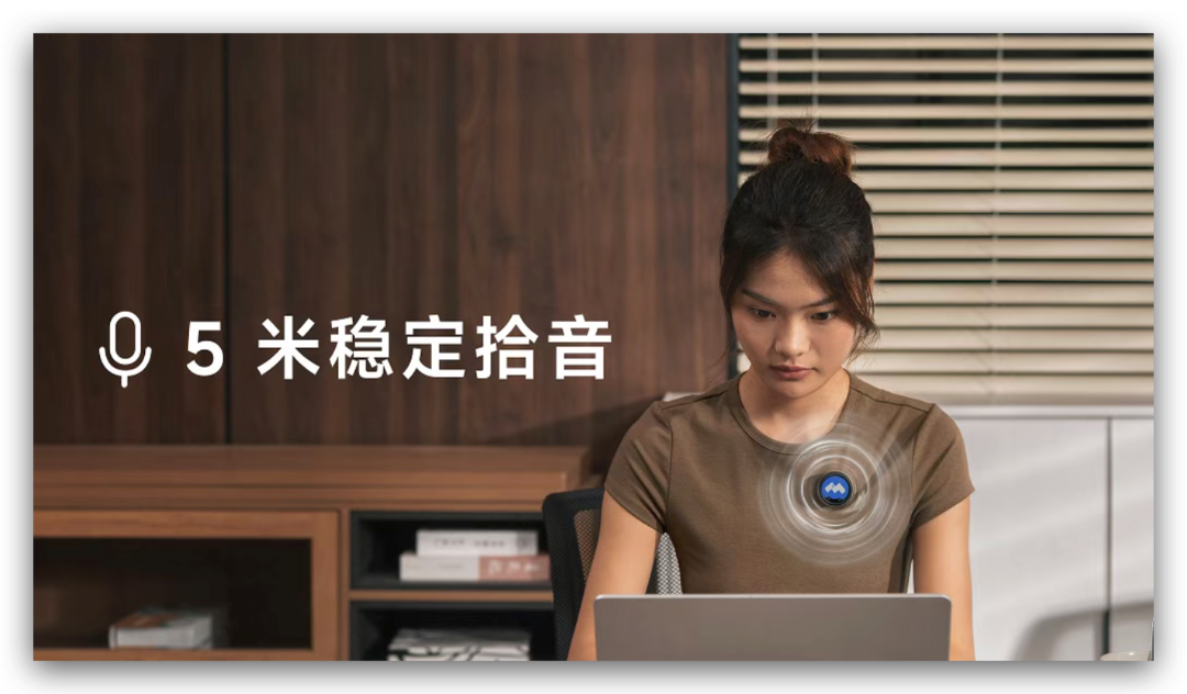 三麦阵列 5米稳定拾音.png