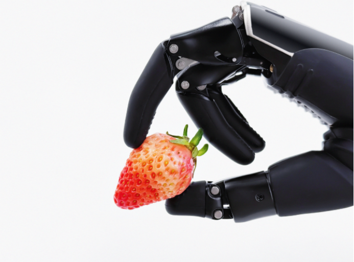 1764294291857549.png 图片