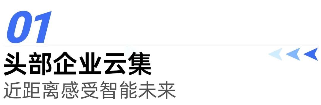 1770629578551116.jpg 图片